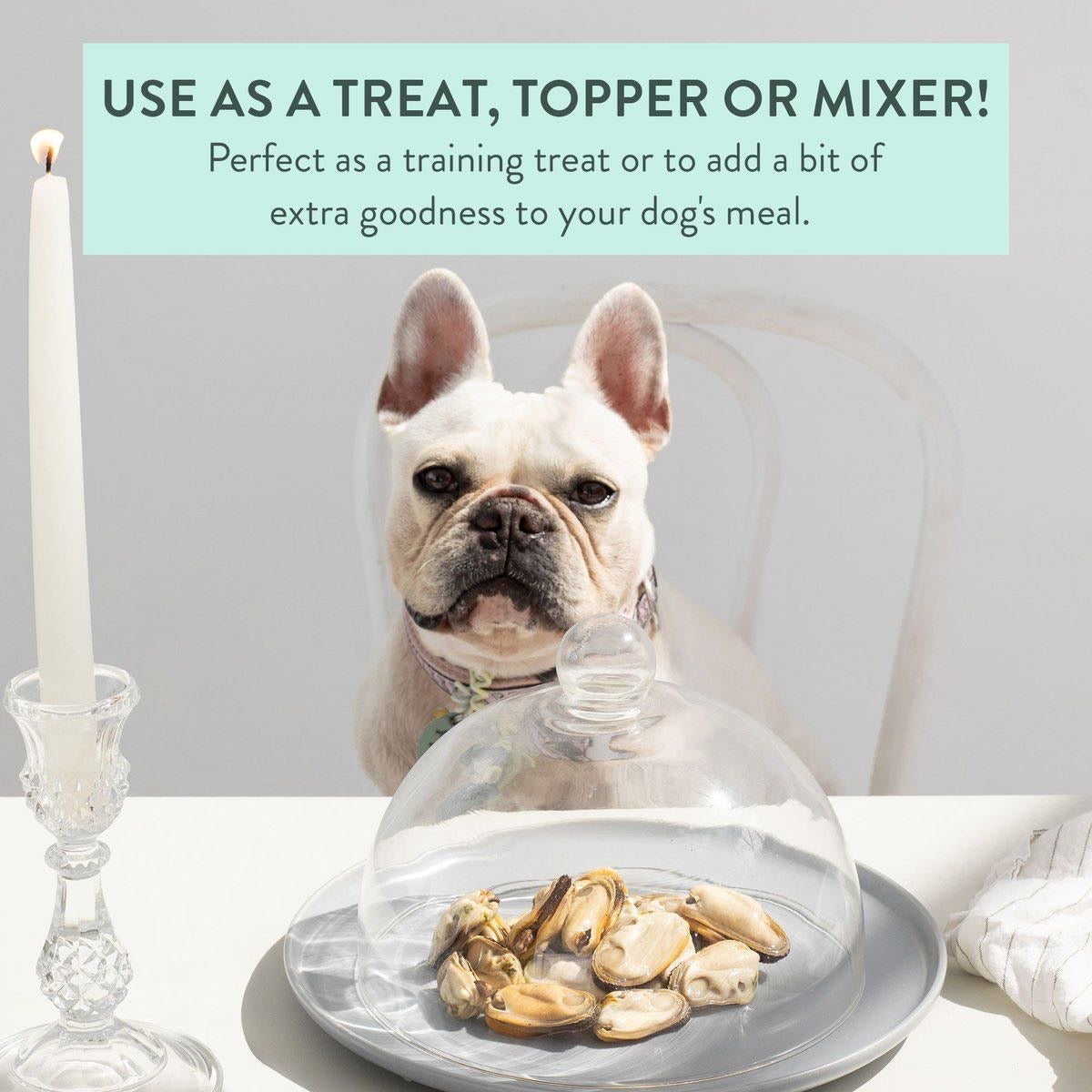 Woof Dog Treats