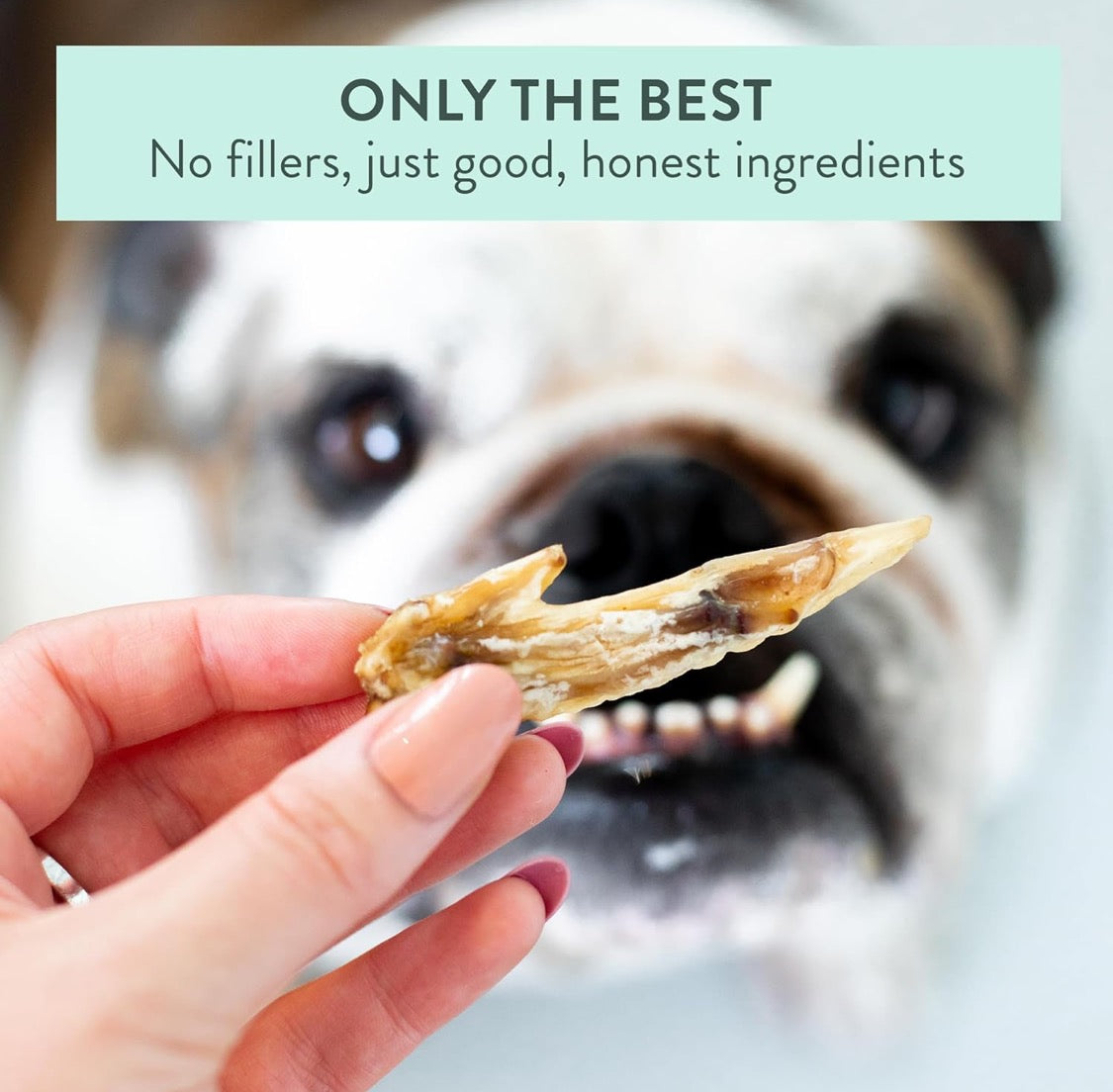 Woof Dog Treats